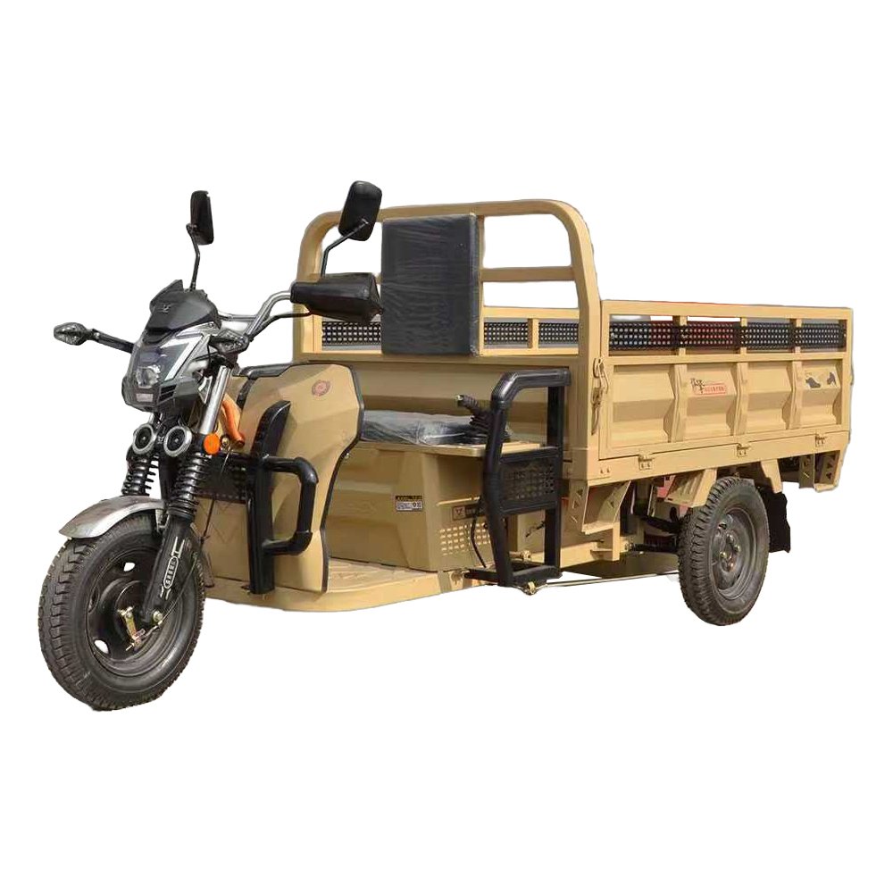 60V 1500W Integrated M43 Automatic Gear Shift 80A Drum Brake Electric Tricycle Motorcycle Electric Adults Rickshaw